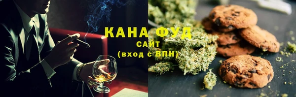 мет Алексин