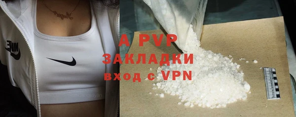 PSILOCYBIN Осинники