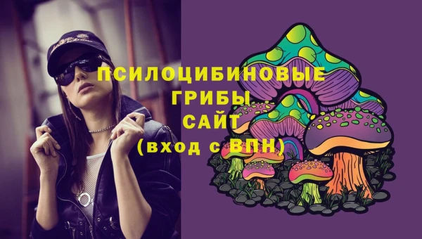 хмурый Алексеевка