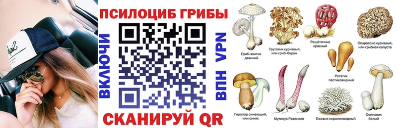 цена наркотик  Неман  Псилоцибиновые грибы Psilocybine cubensis 